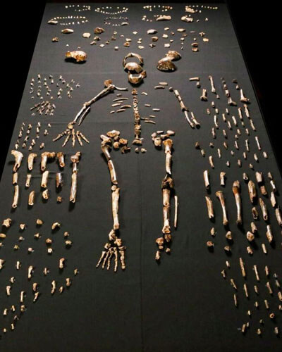 Cradle of Humankind