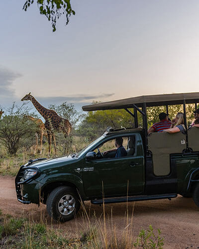 Game Drive